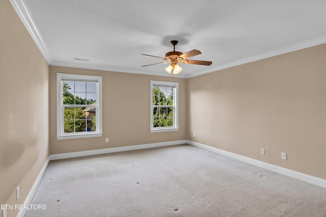 312 Windham Hill Rd, Knoxville, TN 37934 - photo 16
