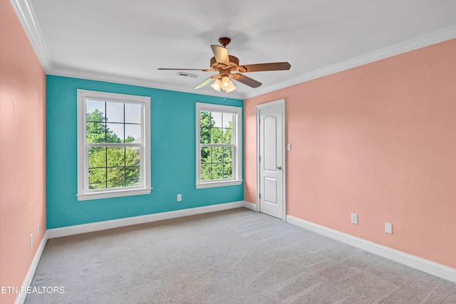 312 Windham Hill Rd, Knoxville, TN 37934 - photo 25