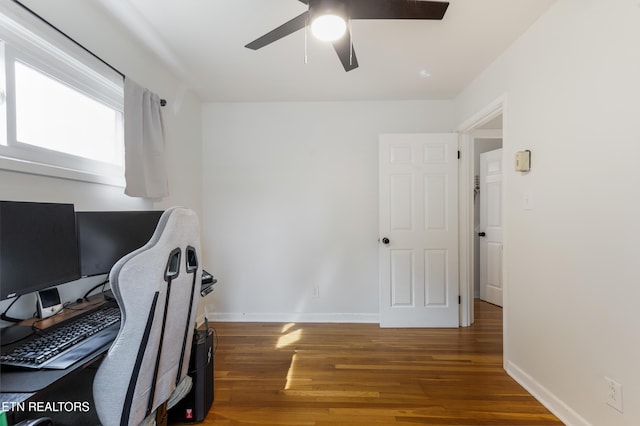 705 Delapp Dr, Knoxville, TN 37912 - photo 10