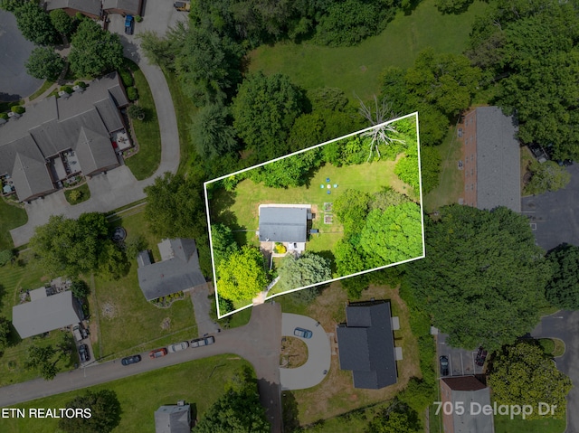 705 Delapp Dr, Knoxville, TN 37912 - photo 24