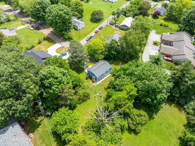705 Delapp Dr, Knoxville, TN 37912 - photo 26