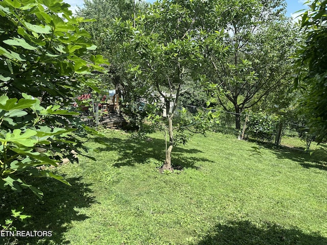 5242 Oakhill Dr, Knoxville, TN 37912 - photo 5