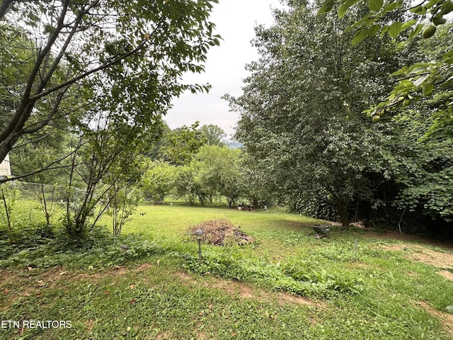 5242 Oakhill Dr, Knoxville, TN 37912 - photo 12