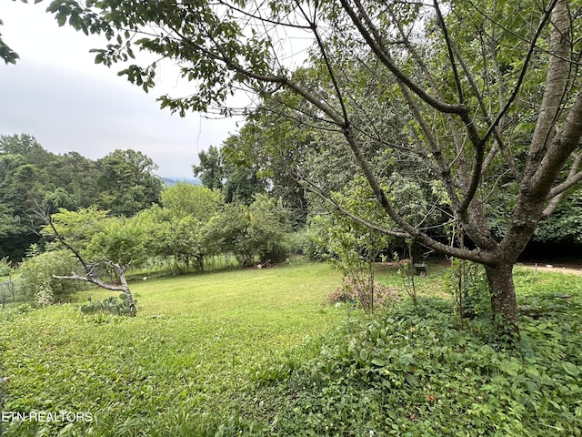 5242 Oakhill Dr, Knoxville, TN 37912 - photo 15