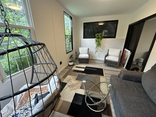 5242 Oakhill Dr, Knoxville, TN 37912 - photo 33