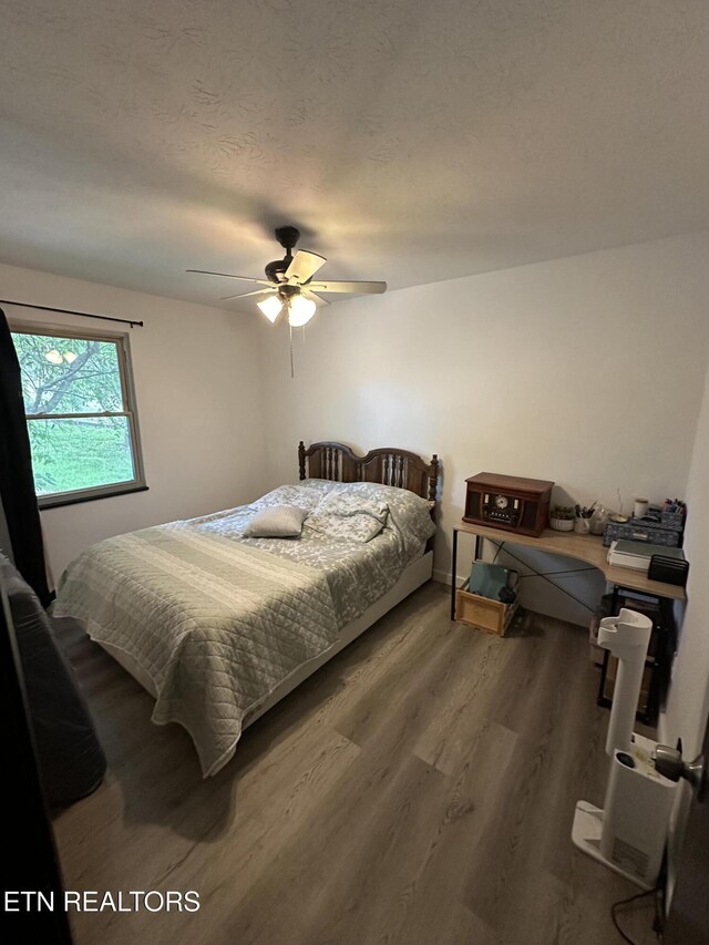 5242 Oakhill Dr, Knoxville, TN 37912 - photo 41