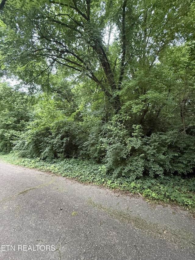 0 SW Spring Dr Dr, Knoxville, TN 37920 - photo 1