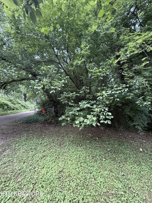 0 SW Spring Dr Dr, Knoxville, TN 37920 - photo 3