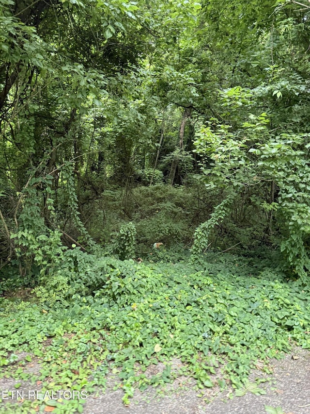 0 SW Spring Dr Dr, Knoxville, TN 37920 - photo 2