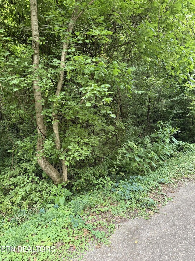 0 SW Spring Dr Dr, Knoxville, TN 37920 - photo 4