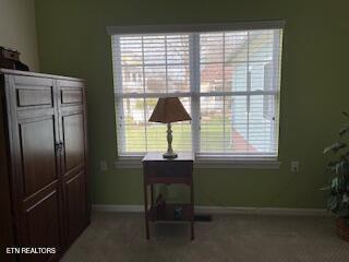 116 W Gettysburg Ave, Oak Ridge, TN 37830 - photo 14