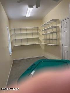 116 W Gettysburg Ave, Oak Ridge, TN 37830 - photo 8