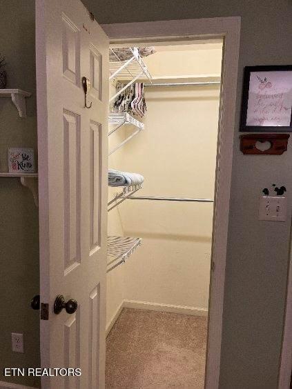 11336 Wrens Nest Ln, Knoxville, TN 37932 - spacious closet with carpet floors