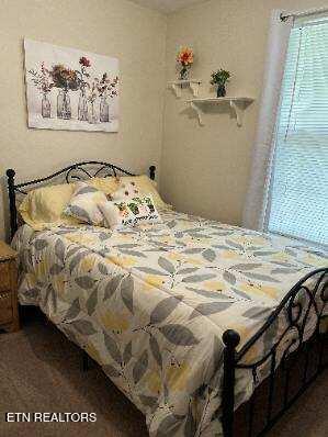 11336 Wrens Nest Ln, Knoxville, TN 37932 - view of bedroom