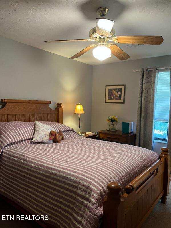 11336 Wrens Nest Ln, Knoxville, TN 37932 - bedroom with a ceiling fan