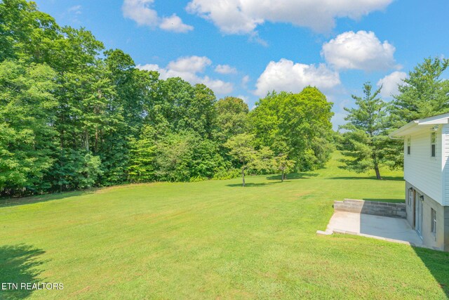 8107 Conner Rd, Powell, TN 37849 - photo 33