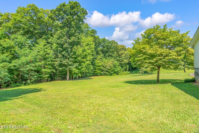 8107 Conner Rd, Powell, TN 37849 - photo 32