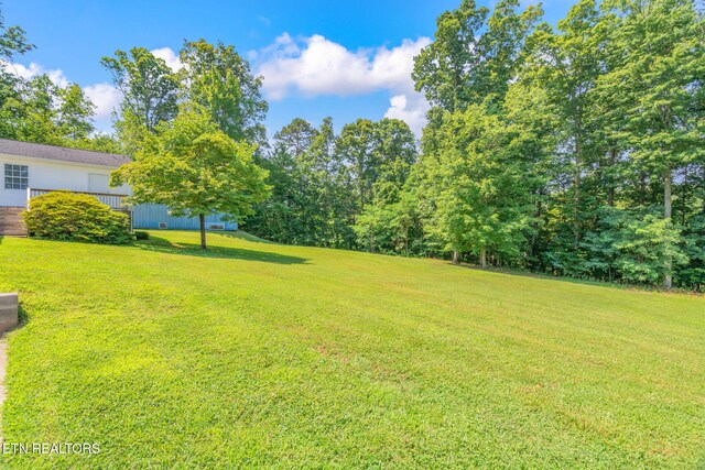 8107 Conner Rd, Powell, TN 37849 - photo 37