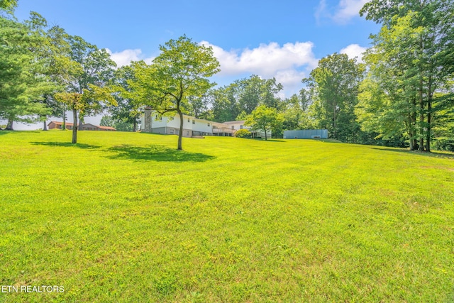 8107 Conner Rd, Powell, TN 37849 - photo 39