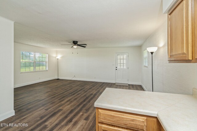 8107 Conner Rd, Powell, TN 37849 - photo 15