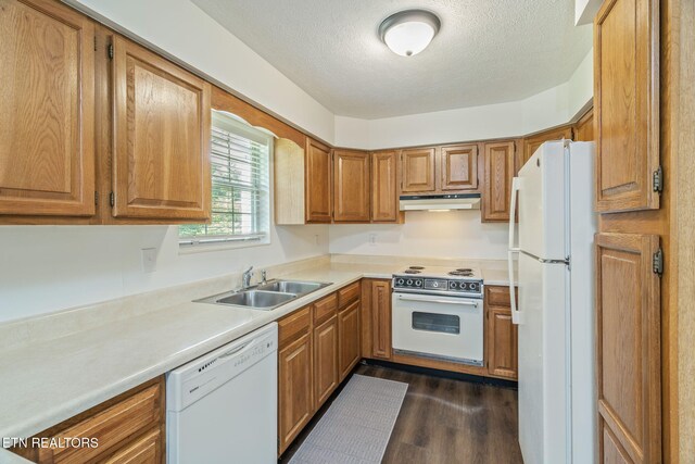 8107 Conner Rd, Powell, TN 37849 - photo 14