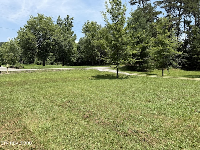 3035 W Wolf Valley Rd, Clinton, TN 37716 - photo 3