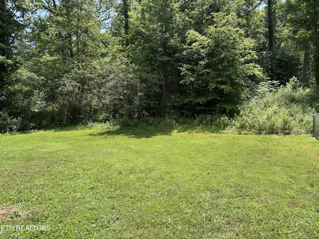 3035 W Wolf Valley Rd, Clinton, TN 37716 - photo 10