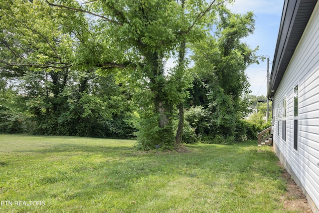 3217 Linden Ave, Knoxville, TN 37914 - photo 33