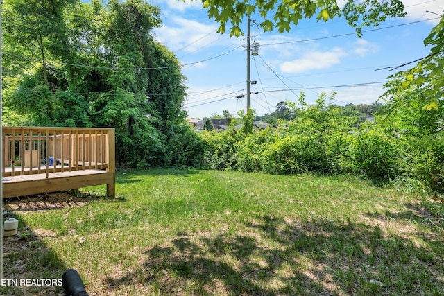 3217 Linden Ave, Knoxville, TN 37914 - photo 29