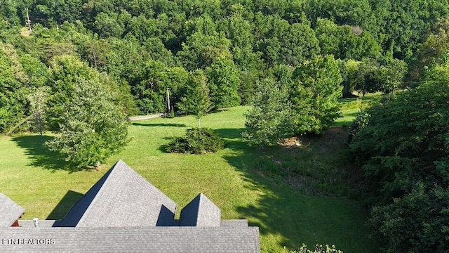 3756 Freels Rd, Friendsville, TN 37737 - photo 19