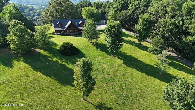 3756 Freels Rd, Friendsville, TN 37737 - photo 20