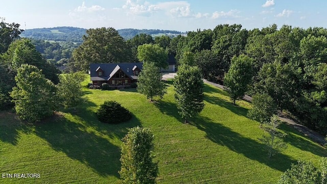 3756 Freels Rd, Friendsville, TN 37737 - photo 21