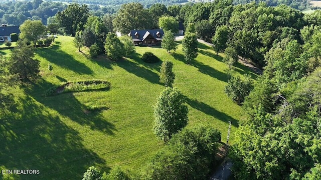 3756 Freels Rd, Friendsville, TN 37737 - photo 25