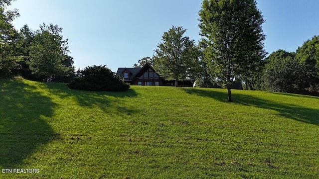 3756 Freels Rd, Friendsville, TN 37737 - photo 28