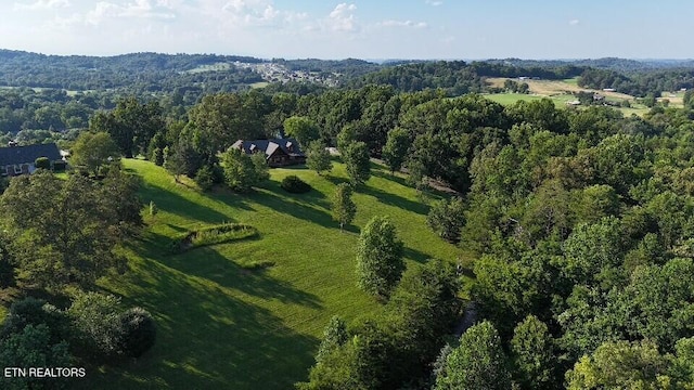 3756 Freels Rd, Friendsville, TN 37737 - photo 31