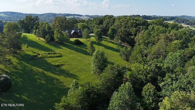 3756 Freels Rd, Friendsville, TN 37737 - photo 32
