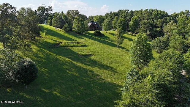 3756 Freels Rd, Friendsville, TN 37737 - photo 33