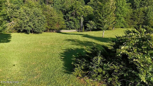 3756 Freels Rd, Friendsville, TN 37737 - photo 35