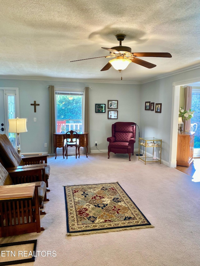 1909 Cedardale Ln, Knoxville, TN 37932 - photo 7