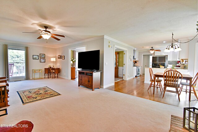 1909 Cedardale Ln, Knoxville, TN 37932 - photo 11