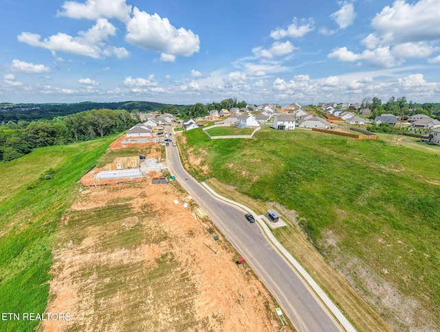 257 Sugar Maple Trl, Lenoir City, TN 37771 - photo 10
