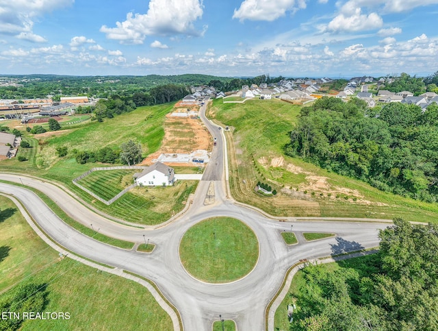 257 Sugar Maple Trl, Lenoir City, TN 37771 - photo 11