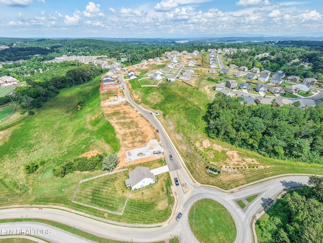 257 Sugar Maple Trl, Lenoir City, TN 37771 - photo 13