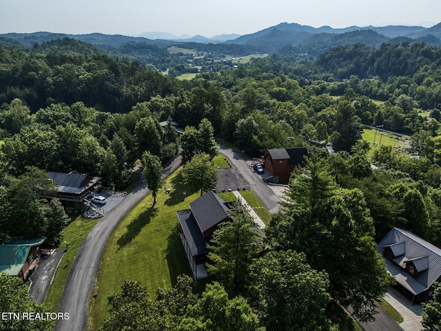 2028 Piney Overlook Ln, Sevierville, TN 37862 - view of property location with a forest