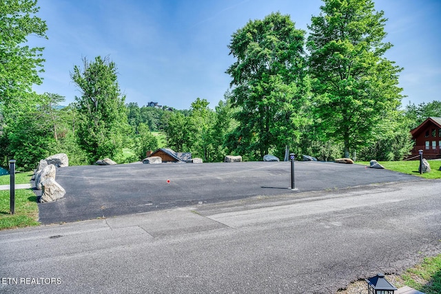 2028 Piney Overlook Ln, Sevierville, TN 37862 - view of asphalt road