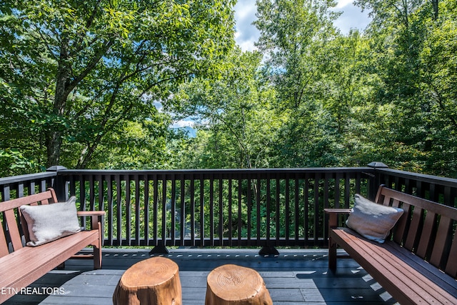 2678 Possum Ridge Way, Sevierville, TN 37862 - photo 25