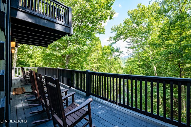 2678 Possum Ridge Way, Sevierville, TN 37862 - photo 44
