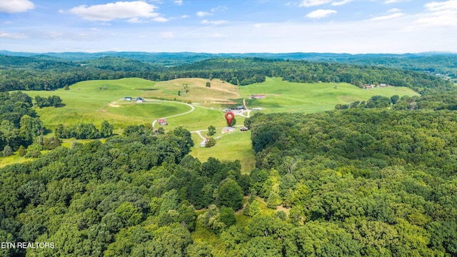 10812 Blue Springs Rd, Sweetwater, TN 37874 - photo 40