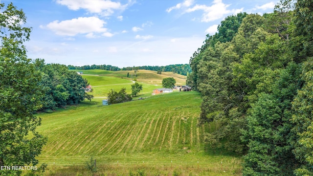 10812 Blue Springs Rd, Sweetwater, TN 37874 - photo 45