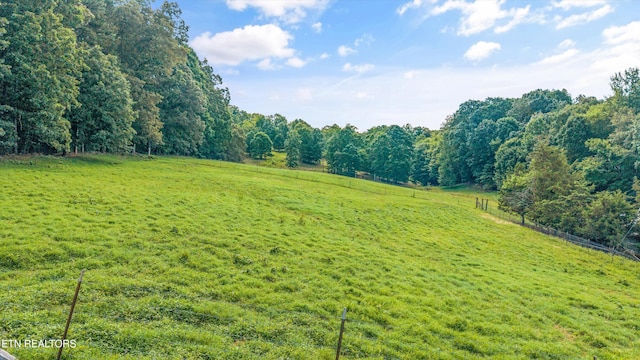 10812 Blue Springs Rd, Sweetwater, TN 37874 - photo 7